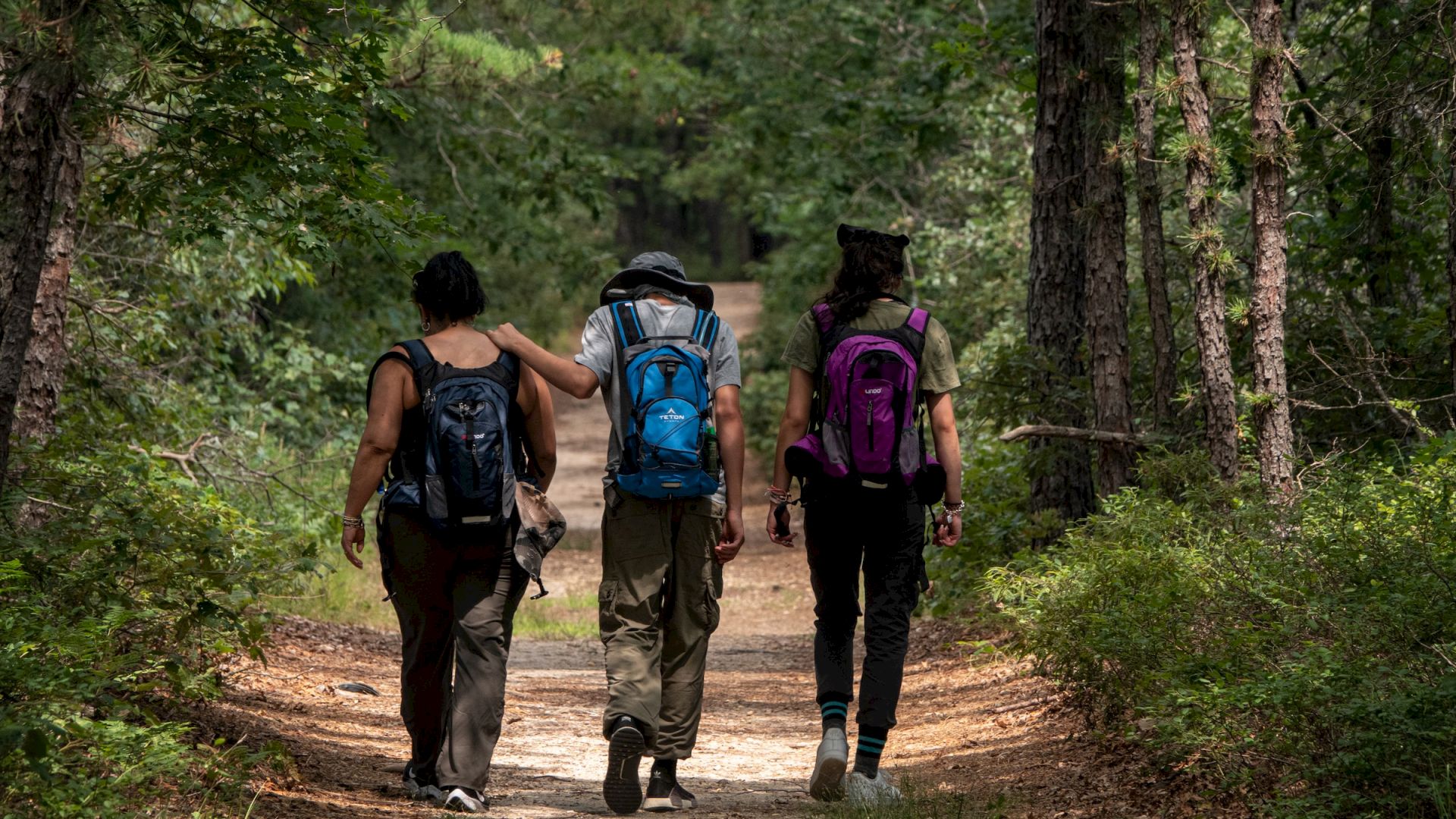 Three people with backpacks walk along a forest trail, surrounded by trees and greenery in a peaceful setting.