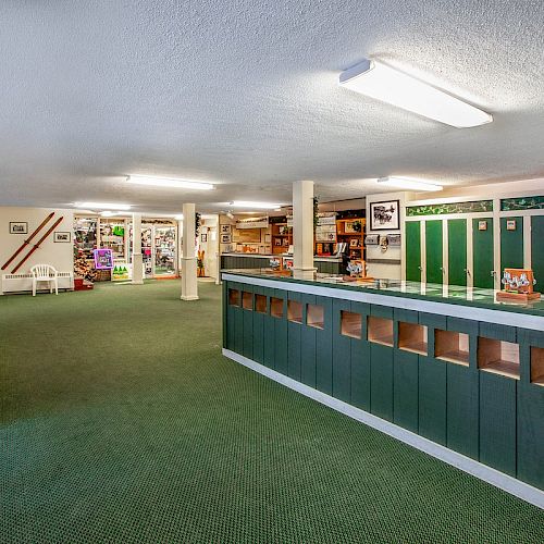 An open room with green carpet, a long counter, shelves with various items, white walls, and overhead fluorescent lighting.