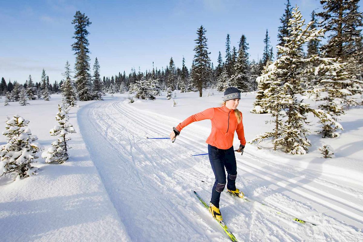 A person is cross-country skiing on a snow-covered path surrounded by trees in a snowy landscape under a clear sky.