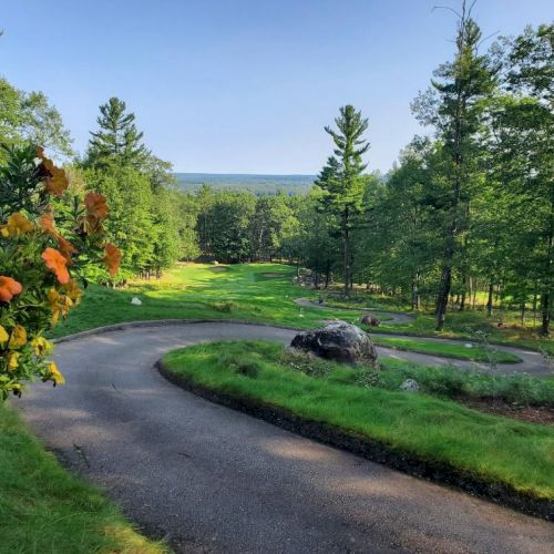 A winding path in a lush, green forest, with a hanging flower basket in the foreground and a scenic view in the distance.