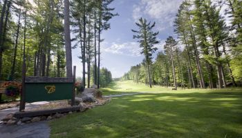 This image shows a lush golf course surrounded by tall trees under a partly cloudy sky, with a small green Timber Stone sign on the left side.