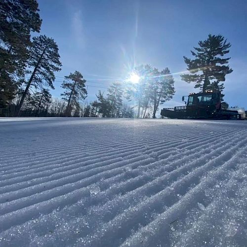 A snowy landscape with trees in the background and a vehicle, possibly a snow groomer, creating neat lines in the snow under a bright sun.