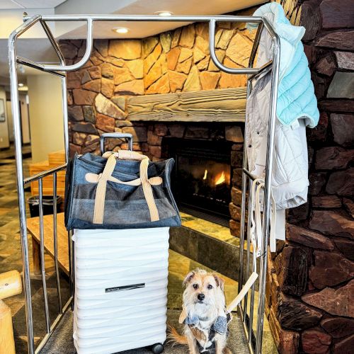 Pine Mountain Ski and Golf Resort is happy to welcome dogs to join in on all the fun and adventure during your stay. Your dog will delight in all the outdoor splendor and feel right at home in our designated Pet Friendly Rooms > https://www.pinemountainresort.com/statements-policies/policy/