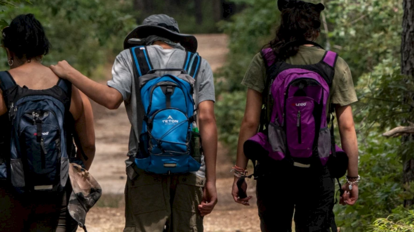 Three people wearing backpacks are walking in a forest on a dirt path, surrounded by trees and greenery, with their backs to the camera.