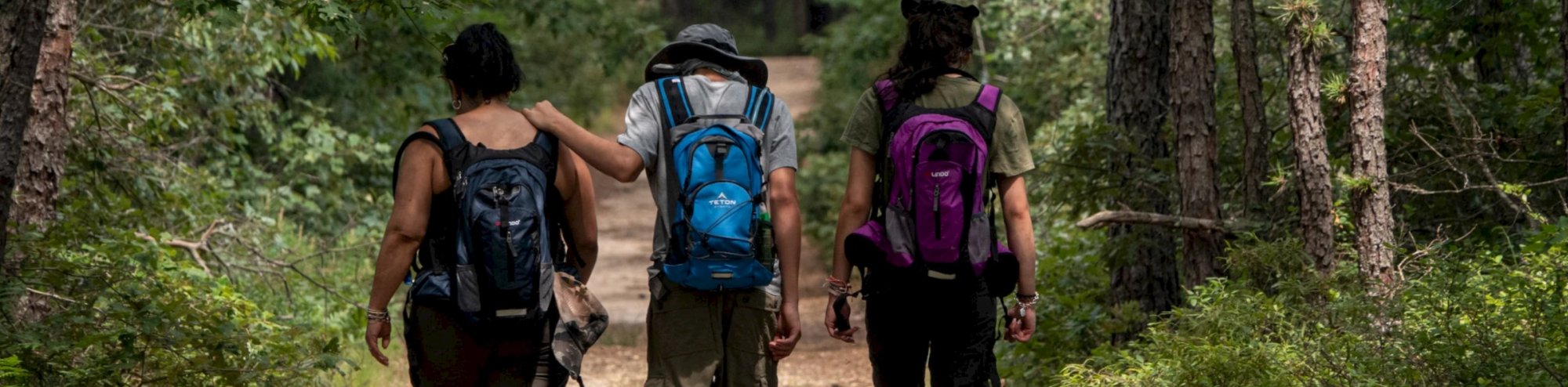 Three people wearing backpacks are walking in a forest on a dirt path, surrounded by trees and greenery, with their backs to the camera.