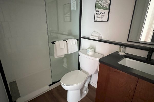 A modern bathroom with a glass shower, toilet, wooden cabinet with sink, and a mirror. Artwork is on the wall above toilet.