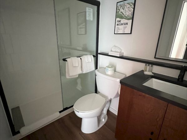 The image shows a modern bathroom with a shower area, a toilet, a sink with a mirror, and wooden cabinets, featuring a clean, minimalist design.