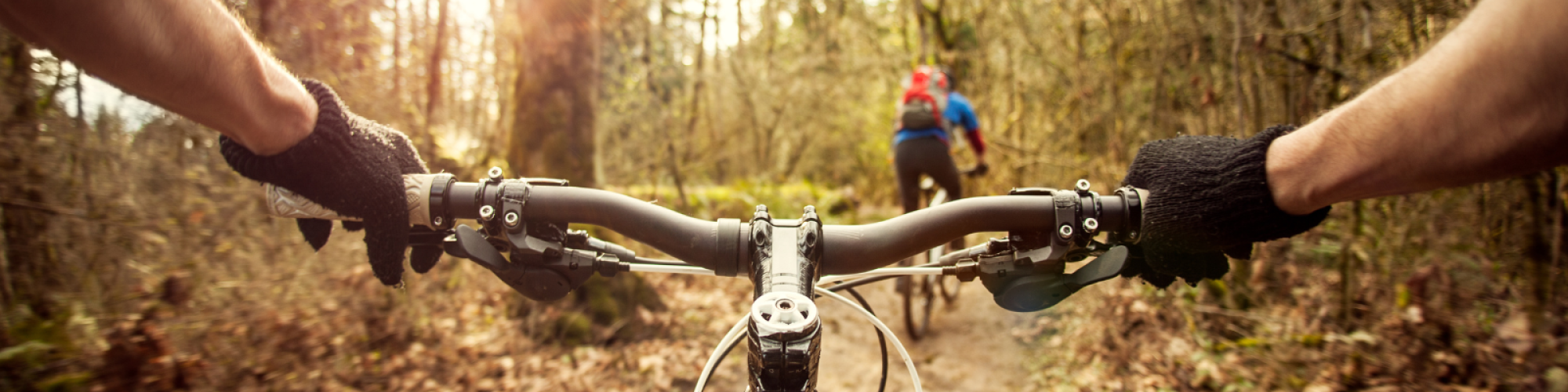 View from a cyclist's perspective, riding through a forest trail, with two other cyclists ahead. Sunlight filters through the trees.