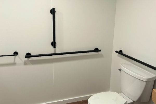 The image shows an accessible bathroom with a toilet and multiple black grab bars, alongside a wood-textured floor.
