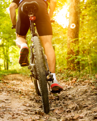 A person is biking on a forest trail, surrounded by trees and sunlight filtering through the leaves, creating a scenic natural setting.
