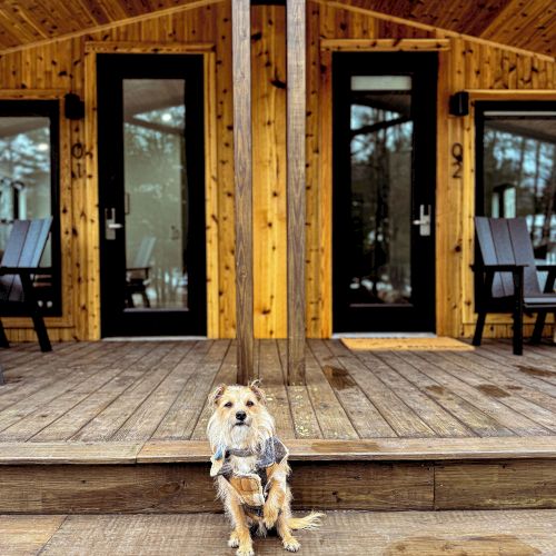 Cabins offer a cozy hideaway for 2 to 6 people.