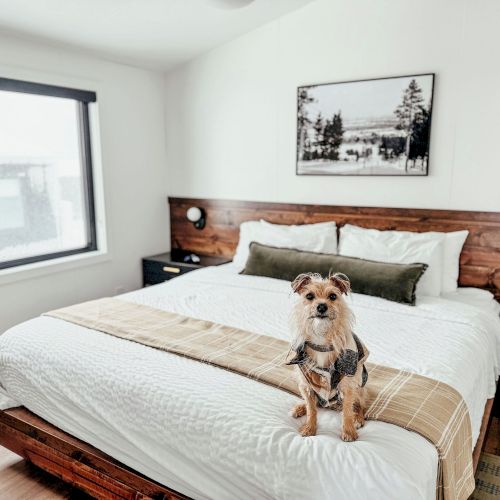 Cabins offer a cozy hideaway for 2 to 6 people.